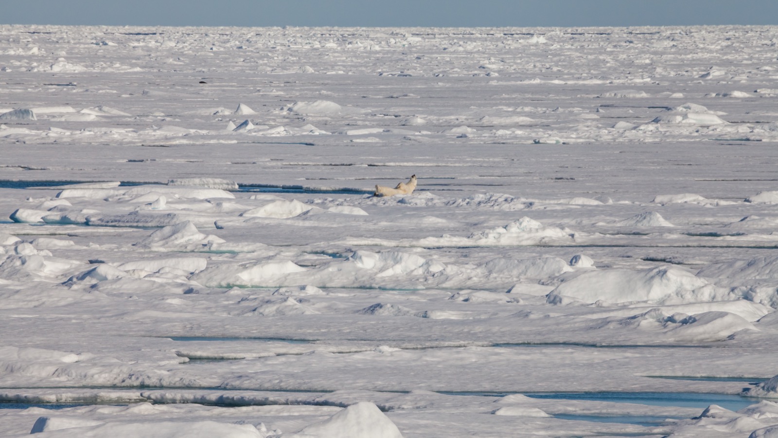 Arctic Sea Ice Hits Record Low Maximum in March 2026