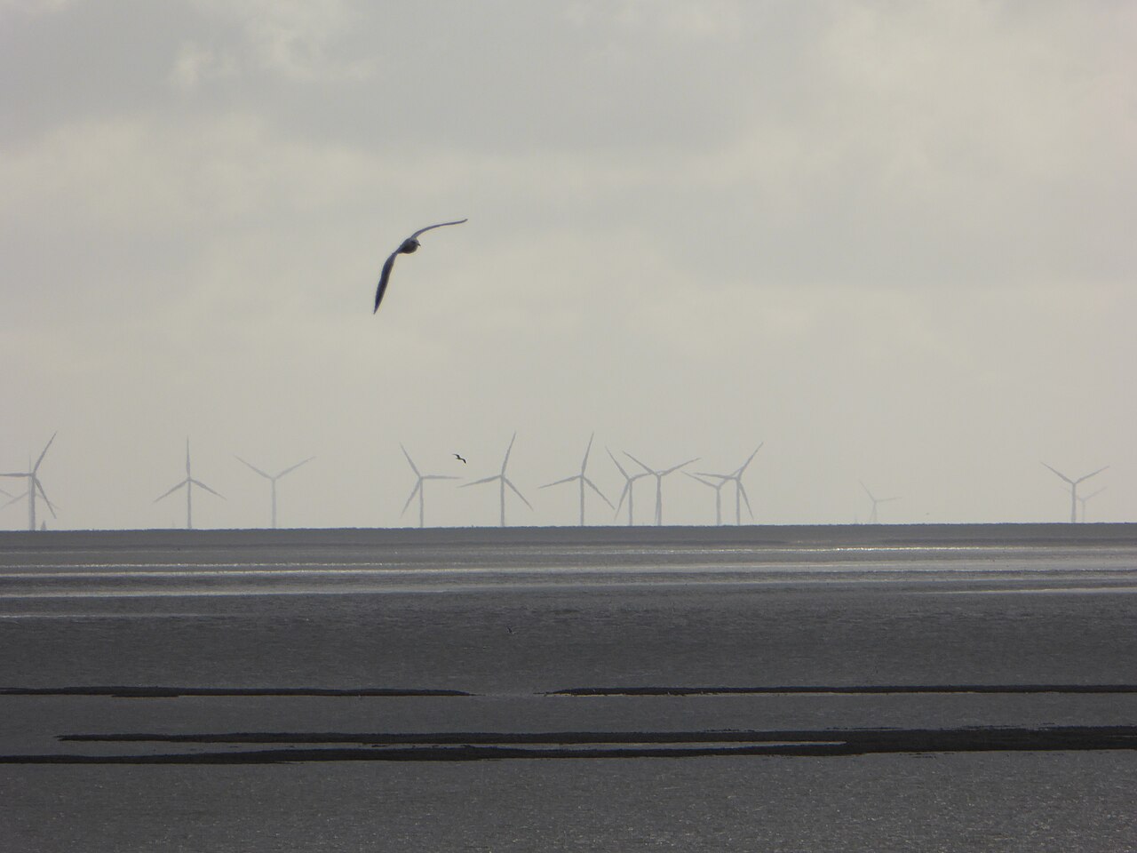 EU Climate & Clean Energy 2026: Laws, Records & COP31